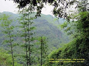 Luzhou juin 2017 - 045